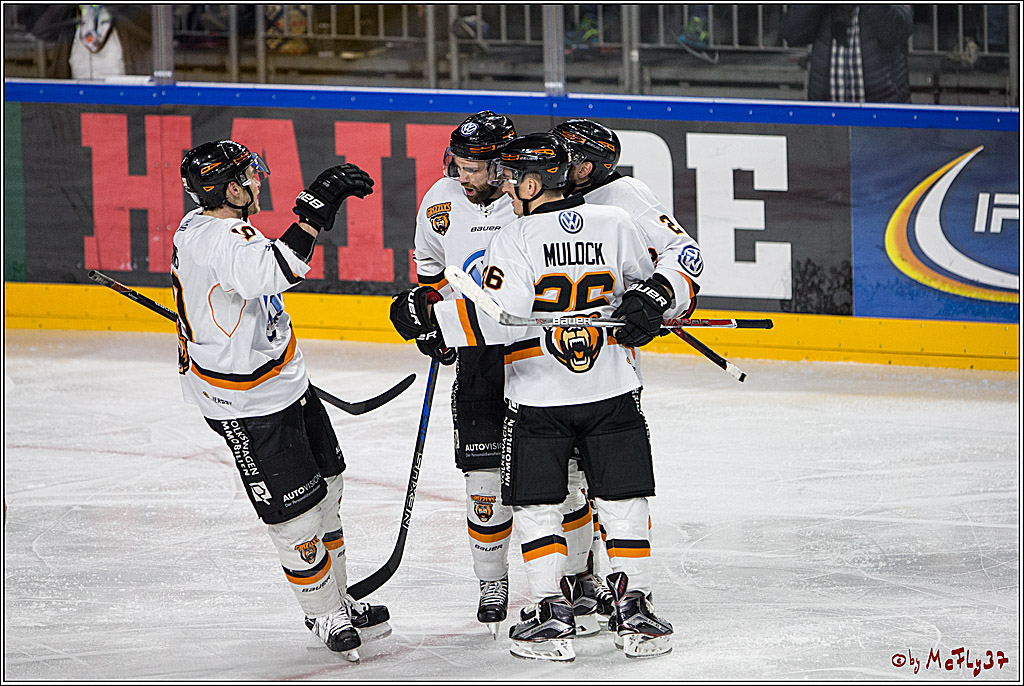 DEL, Koelner Haie - Grizzlys Wolfsburg, 07.03.2017